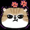 😡 Эмодзи «oba cat» для Telegram