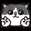 ✌️ Эмодзи «oba cat» для Telegram