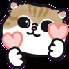 Стикерпак oba cat для Telegram