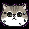 😨 Эмодзи «oba cat» для Telegram