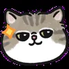 🤩 Эмодзи «oba cat» для Telegram