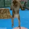 😊 Эмодзи «обезьянки» для Telegram