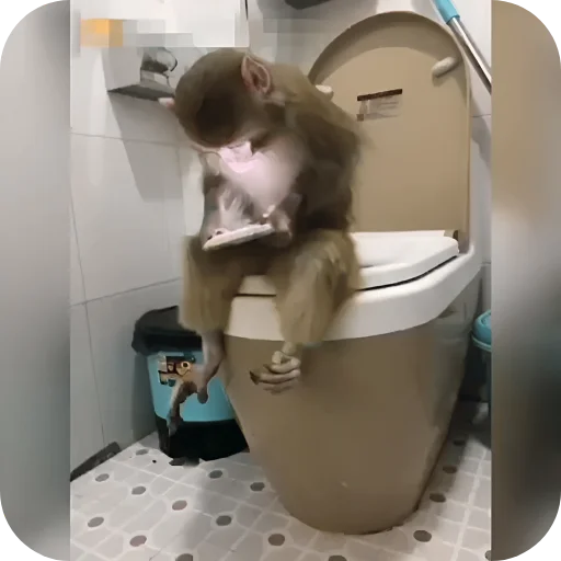 🙊 Стикер «Обезьянки» для Telegram