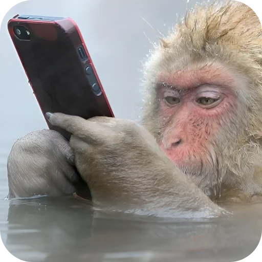 🙊 Стикер «Обезьянки» для Telegram