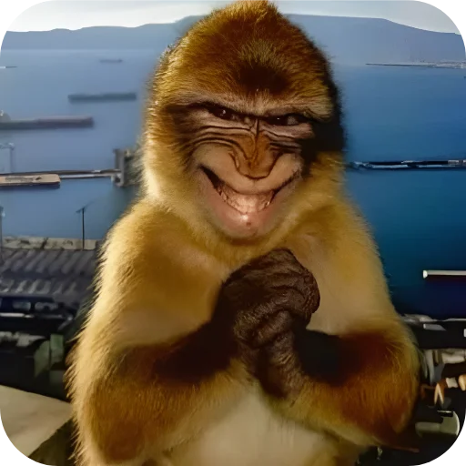 🙊 Стикер «Обезьянки» для Telegram