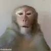 🤳 Эмодзи «обезьянки» для Telegram