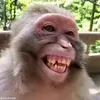 😁 Эмодзи «обезьянки» для Telegram