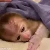 🥲 Эмодзи «обезьянки» для Telegram