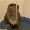😴 Эмодзи «обезьянки» для Telegram