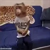 👏 Эмодзи «обезьянки» для Telegram