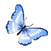🦋 Эмодзи «O C E A N ()» для Telegram