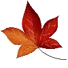 Стикерпак 🍁 → для Telegram