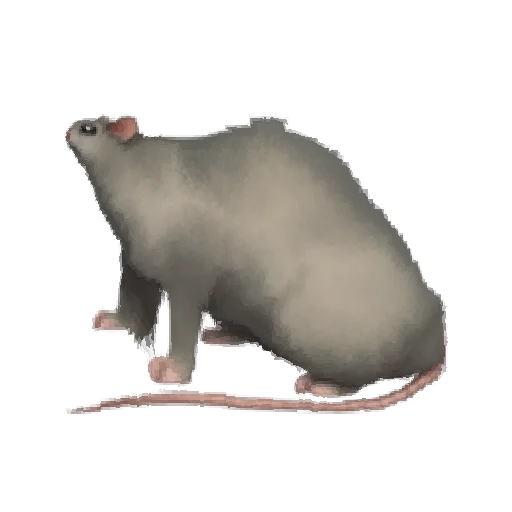 Стикерпак Oh no.. [Animal] для Telegram — скачать