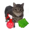 🤩 Эмодзи «Oiia Cat Без» для Telegram