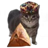 🤩 Эмодзи «Oiia Cat Без» для Telegram