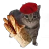 🤩 Эмодзи «Oiia Cat Без» для Telegram