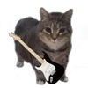🤩 Эмодзи «Oiia Cat Без» для Telegram