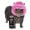 🤩 Эмодзи «Oiia Cat Без» для Telegram