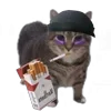 🤩 Эмодзи «Oiia Cat Без» для Telegram