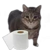 🤩 Эмодзи «Oiia Cat Без» для Telegram