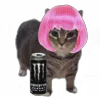 👚 Эмодзи «Oiia Oiia Cat» для Telegram