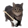 🤟 Эмодзи «Oiia Oiia Cat» для Telegram