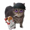 😞 Эмодзи «Oiia Oiia Cat» для Telegram