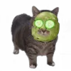 🤿 Эмодзи «Oiia Oiia Cat» для Telegram