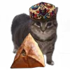 🌭 Эмодзи «Oiia Oiia Cat» для Telegram