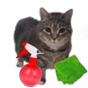 🧹 Эмодзи «Oiia Oiia Cat» для Telegram