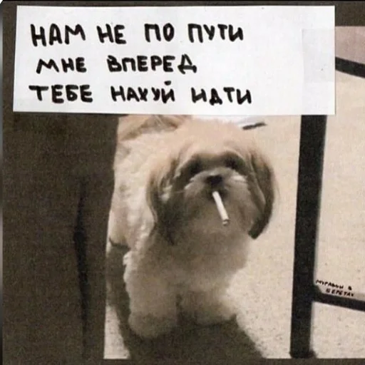 🚬 Стикер «Ошибка» для Telegram
