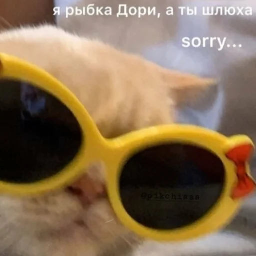 🐠 Стикер «Ошибка» для Telegram
