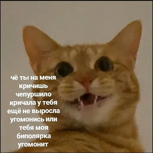 🤬 Стикер «Ошибка» для Telegram