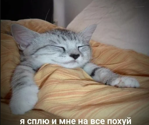 😴 Стикер «Ошибка» для Telegram
