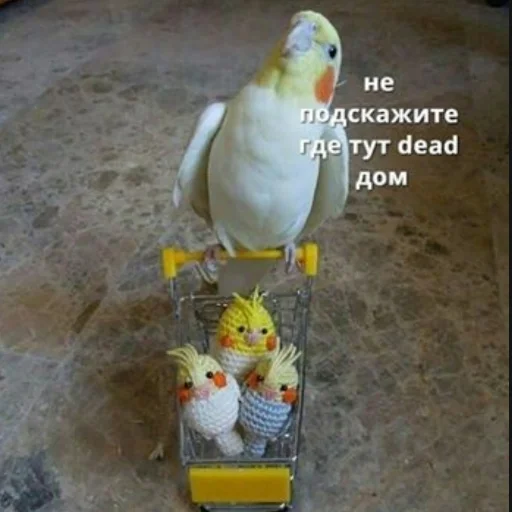 💉 Стикер «Ошибка» для Telegram