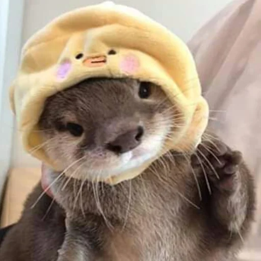 🦆 Стикер «otter» для Telegram