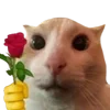 🌹 Эмодзи «okroshka» для Telegram