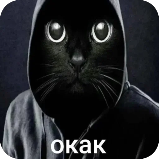Стикерпак окаки для Telegram — скачать