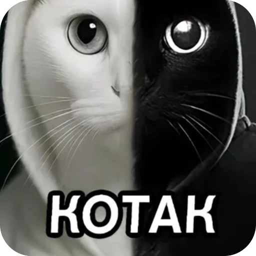 🫥 Стикер «окаки» для Telegram