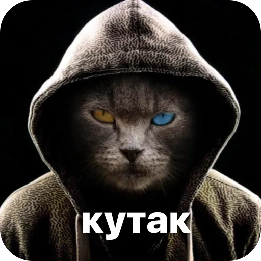 🫥 Стикер «окаки» для Telegram