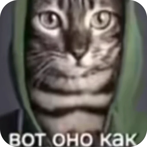 🫥 Стикер «окаки» для Telegram