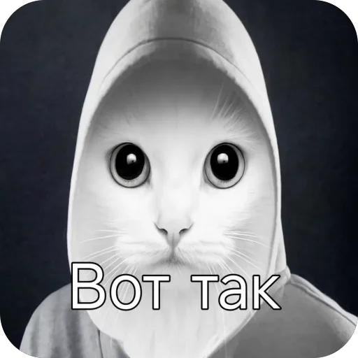 🐱 Стикер «окаки» для Telegram