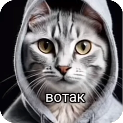 🫥 Стикер «окаки» для Telegram