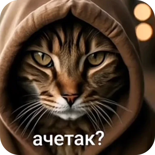 🫥 Стикер «окаки» для Telegram