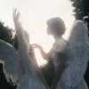 🤩 Эмодзи «okay» для Telegram