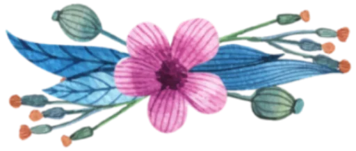 🌺 Стикер «Ok Chicas» для Telegram