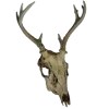 🦌 Эмодзи «Oktober Vibe» для Telegram