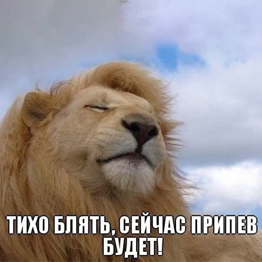 Стикерпак старые мемчики для Telegram — скачать