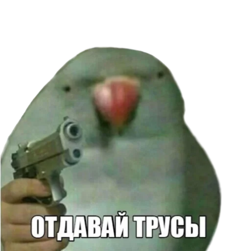 🦜 Стикер «Отсос в рассрочку» для Telegram