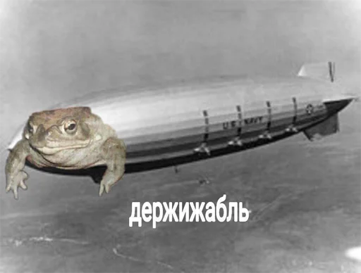 🐸 Стикер «Отсос в рассрочку» для Telegram